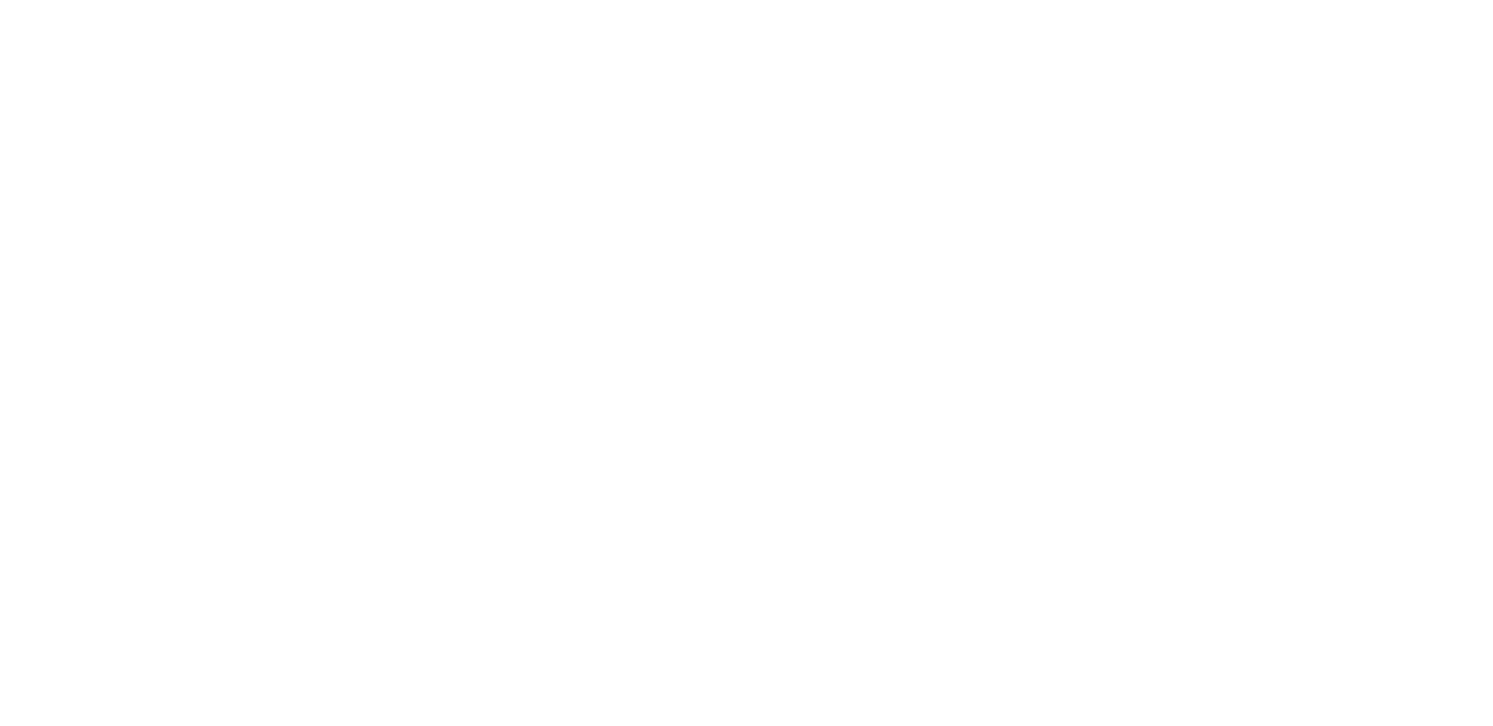 Celestix Logo
